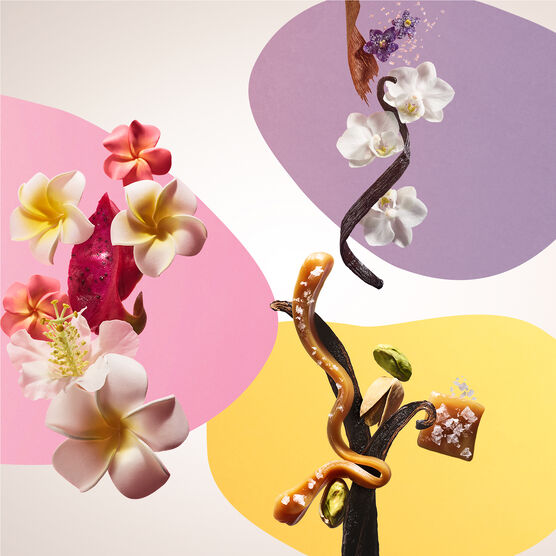 DISCOVERY Cream Discovery Set